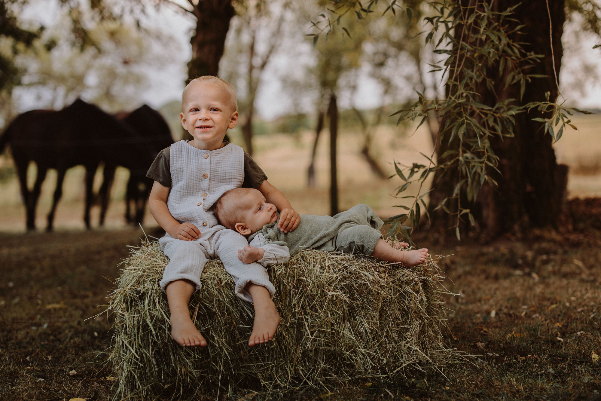 Kuratiertes Portrait sieben
